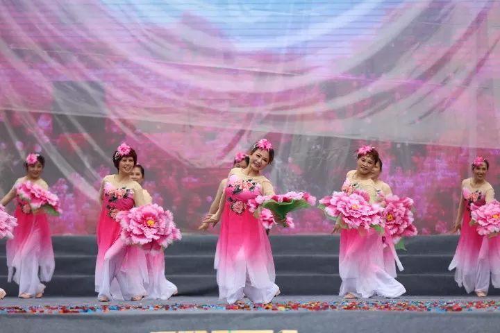 救援修女