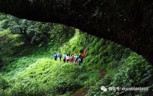 年货大街2月1日开场